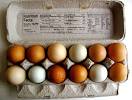 On Why I Pay $7.50 for a Dozen Eggs | The Kitchn