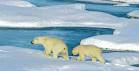 Global Warming Impact Zones | The Arctic Circle