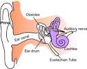 Ear - Diagnosis - ENT Laser Centre