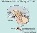 Your Sleep Hours Are Responsible For Your Wake-Up Hours ...