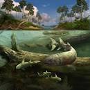Evolving Planet Devonian Mural, for Field Museum, by Karen Carr ...
