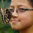 butterfly boy by Marianna