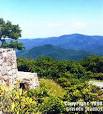 Brasstown Bald Trail - GeorgiaTrails.