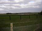 A new stud is being developed and the fence stank of bitumen preservative - via Daymix