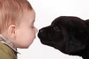 Ta divna stvorenja... - Blogovi - Forum Krstarice - baby-and-puppy