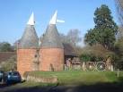 There are two mainstream varieties of hop named after - via Daymix