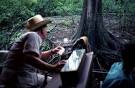 Florida Memory - Tour guide Joe Klotz feeding a monkey bread on ...