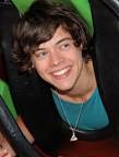 Harry Styles and two of his One Direction mates have a theme park ...
