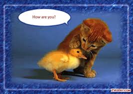 images?q=tbn:ANd9GcRwwtW1AmYbbhKCoRpDykRLF3wnad_fTvjxaPKvSOZXLbOoPO1W