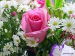 [تصویر: images?q=tbn:ANd9GcRwz-Og5HzcCAIsWhnwPrf...9ZplyKi2hG]