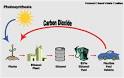 HowStuffWorks "E85 Ethanol Flex Fuel Explained"
