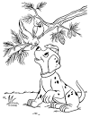 Dalmatian Dog coloring page