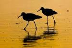 Morro Strand State Beach - via Daymix