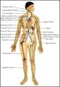 Advanced Health Healing Arts