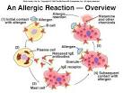 How to Fight Food-based Allergies Naturally | Nutri-Living Blog