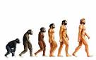 <b>Evolution</b> may have catapulted