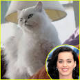 katy-perry-roar-preview-hear- ...