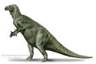 Iguanodon Pictures - Pictures of Iguanodon