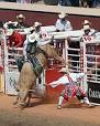 Calgary Stampede - Wikipedia, the free encyclopedia