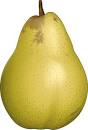pear: Definition from Answers.