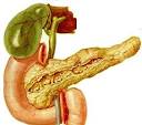 La <b>pancreatite</b> cronica (PC):