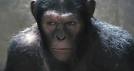 planet of the apes sex tape