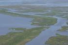 Aerial view of marsh swamp - via Daymix