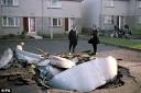 Woman Honor Thyself » Blog Archive » Lockerbie Bomber Freed