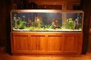 Tropical Fish Aquariums   Water Test Kits to Note Freshwater