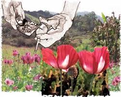 Opium Poppy Cultivation and Heroin Processing in Southeast Asia March 2001