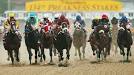 Triple Crown 2010: The Preakness Stakes wants you to get preaky.