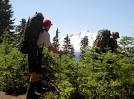 North Cascades Mountain Guides -
