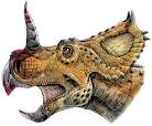 Centrosaurus apertus - a ceratopsian dinosaur