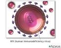 Asymptomatic <b>HIV infection</b> is