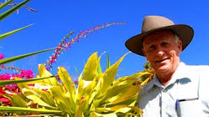 Tom Wyatt\u0026#39;s Gardening Tips - ABC Capricornia - Australian ... - r592785_3803972