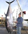 Spluch: World record tuna caught
