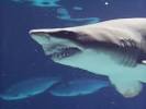 Rio Grande Zoo and Aquarium in Albuquerque(with... | Gather