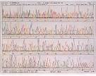 DNA Sequencing