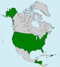 File:CAFTA members.svg - Wikimedia Commons