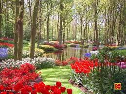 Keukonhof Gardens