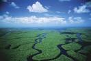 BRICKELL LIFE: The Everglades