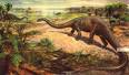 Palaeos Vertebrates: Sauropodomorpha: Diplodocomorpha