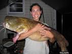flathead catfish, Pylodictis olivaris (Siluriformes: Ictaluridae ...