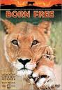 Born Free - Lesson Plan