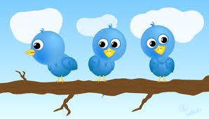 consultanta seo - twitter