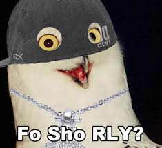 images?q=tbn:ANd9GcS-v_kYcXw0aFrLOvWICyDpwWW4CK-6Pm6_NHC1elbKKrZOkBmzx-ocjEdF