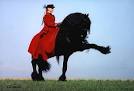 Celebrity Equestrian Events
