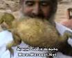 چه كسي سوسمار ميخورد؟