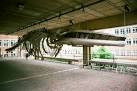 Zoology whale - via Daymix
