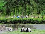 from <b>nature</b> tourism.